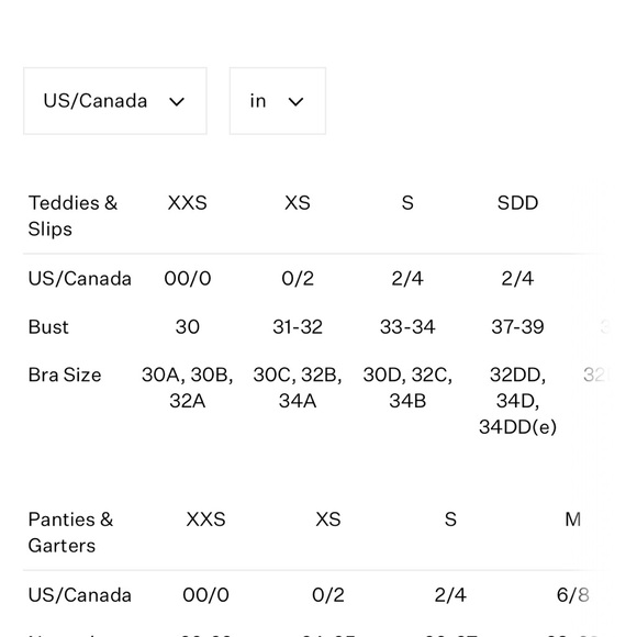 For Love and Lemons Garden Glitter Thong panty - Picture 4 of 4